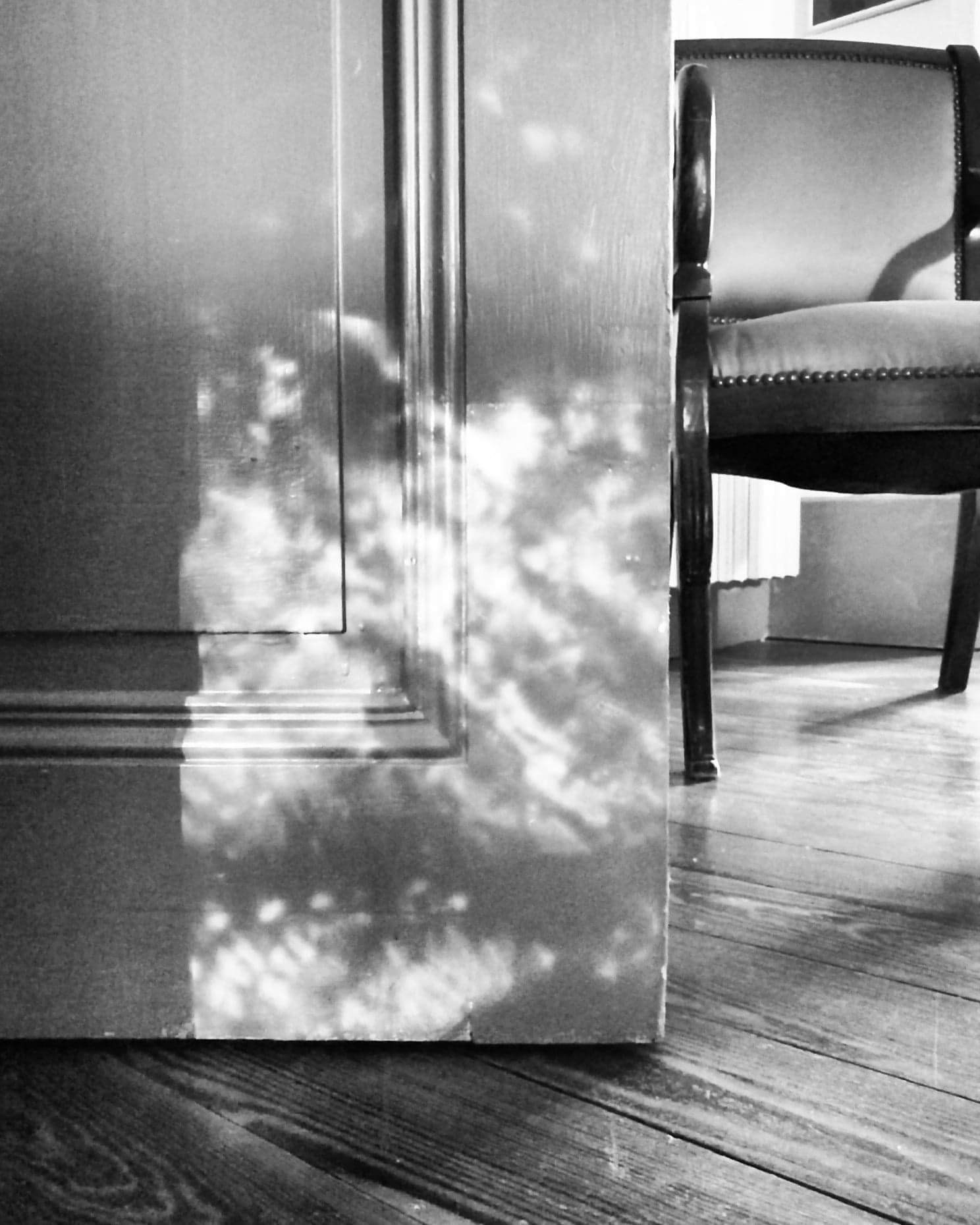 Thức dậy trong rừng